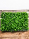 Plaque verdure -  40x60 cm
