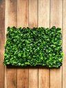 Plaque verdure - 40x60 cm