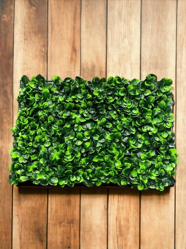 Plaque verdure - 40x60 cm