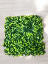 Plaque verdure -  50x50 cm