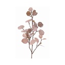 Branche eucalyptus rose