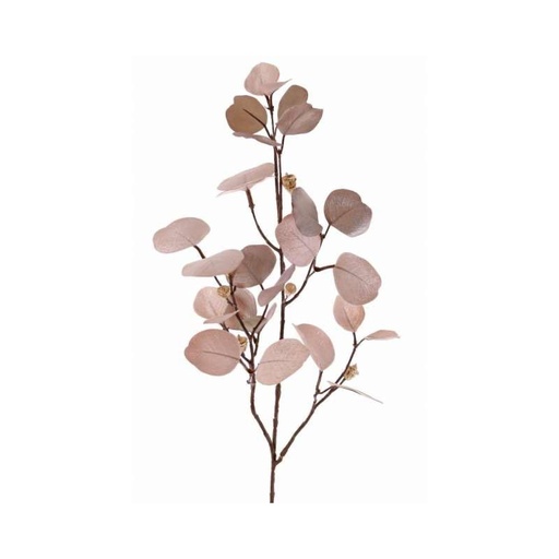 Branche eucalyptus rose