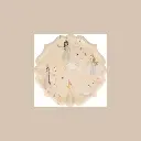 Assiettes  princess x10