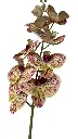 Orchidée 90cm coul bl/grenat