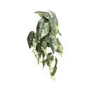 Mini pendant tricolore 45 cm