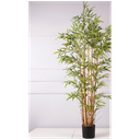 Plante en pot bambou