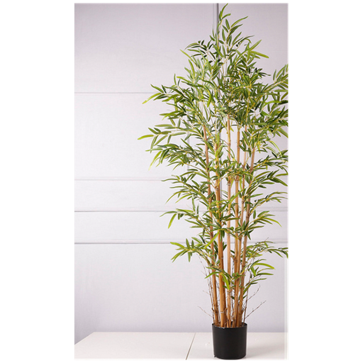 Plante en pot bambou