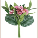 Bouquet orchidé rose fleur vert