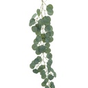 Lianne eucalyptus 120cm