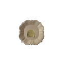 Ass dessert sable x10