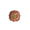 Ass dessert rose x10