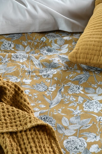 Jacinthe hc 240x220moutarde percale 