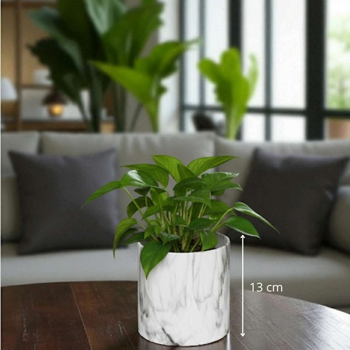 Cache pot marbre d13.5h13