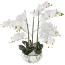 Orchidee pot cim marbre h65