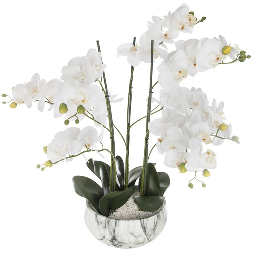 Orchidee pot cim marbre h65