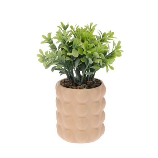 Plante en pot céramique rosé 18cm