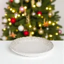 Assiette diametre 26cm