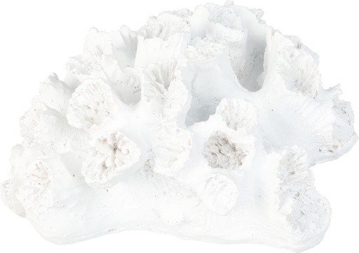 Deco corail blanc grand