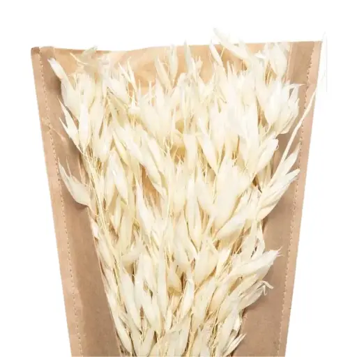 Bouquet seche nat display h45 ble