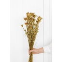 Bouquet seche nat display h45 avec grains